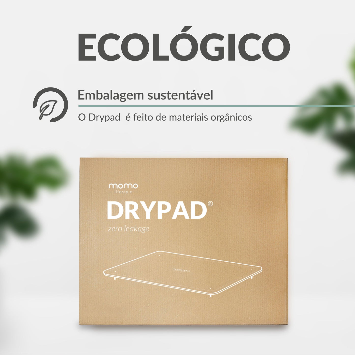 Escorredor de Louça Seca Rápido | DryPad | Loja Momo